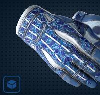 【平台担保 steam平台-CS2装备皮肤交易】运动手套（★） | 双栖 (久经沙场)【自动发货 0秒入库】