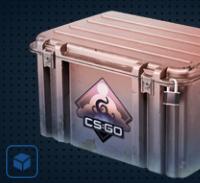 【平台担保 steam平台-CS2装备皮肤交易】梦魇武器箱【自动发货 0秒入库】